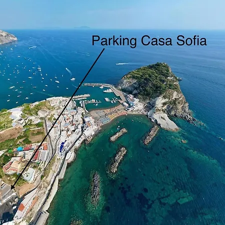 Casa Sofia Boutique